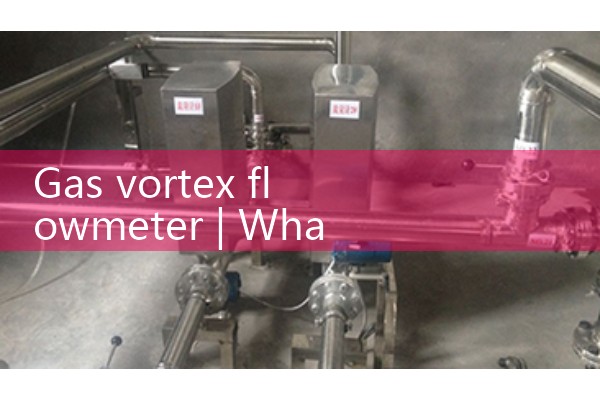 Gas vortex flowmeter
